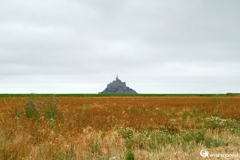 Północna Francja, na pierwszym planie łąka, w tle skała Mont Saint-Michel. - foto: wnieznane.pl Północna Francja, na pierwszym planie łąka, w tle skała Mont Saint-Michel. - foto: wnieznane.pl