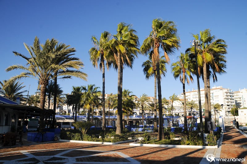 Costa del Sol. Nad brzegiem morza w Esteponie. - foto: wnieznane.pl Costa del Sol. Nad brzegiem morza w Esteponie. - foto: wnieznane.pl