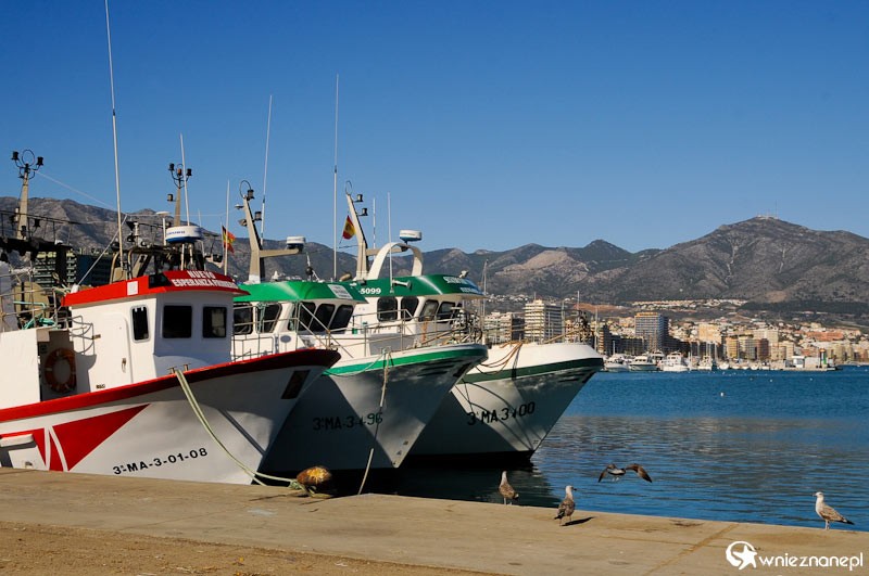Costa del Sol. Kutry rybackie w porcie w Fuengiroli. - foto: wnieznane.pl Costa del Sol. Kutry rybackie w porcie w Fuengiroli. - foto: wnieznane.pl