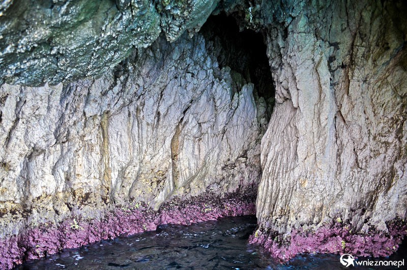 Grecka wyspa Korfu. Koral w Nausika Cave, jednej z Błękitnych Grot w okolicy Paleokastritsy. - foto: wnieznane.pl Grecka wyspa Korfu. Koral w Nausika Cave, jednej z Błękitnych Grot w okolicy Paleokastritsy. - foto: wnieznane.pl