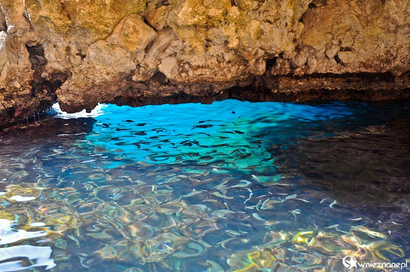 Grecka wyspa Korfu. Maleńka Blue Eye Cave, jedna z Błękitnych Grot u wybrzeża Paleokastritsy. Pod wodą widać ławicę ryb - foto: wnieznane.pl Grecka wyspa Korfu. Maleńka Blue Eye Cave, jedna z Błękitnych Grot u wybrzeża Paleokastritsy. Pod wodą widać ławicę ryb - foto: wnieznane.pl