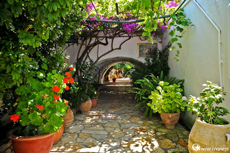 Grecka wyspa Korfu. Przepiękne kwiaty na terenie klasztoru Theotokou w miejscowości Paleokastritsa. - foto: wnieznane.pl Grecka wyspa Korfu. Przepiękne kwiaty na terenie klasztoru Theotokou w miejscowości Paleokastritsa. - foto: wnieznane.pl