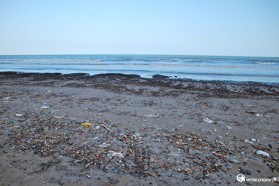 Walencja. Przykry widok miejskiej plaży. - foto: wnieznane.pl Walencja. Przykry widok miejskiej plaży. - foto: wnieznane.pl