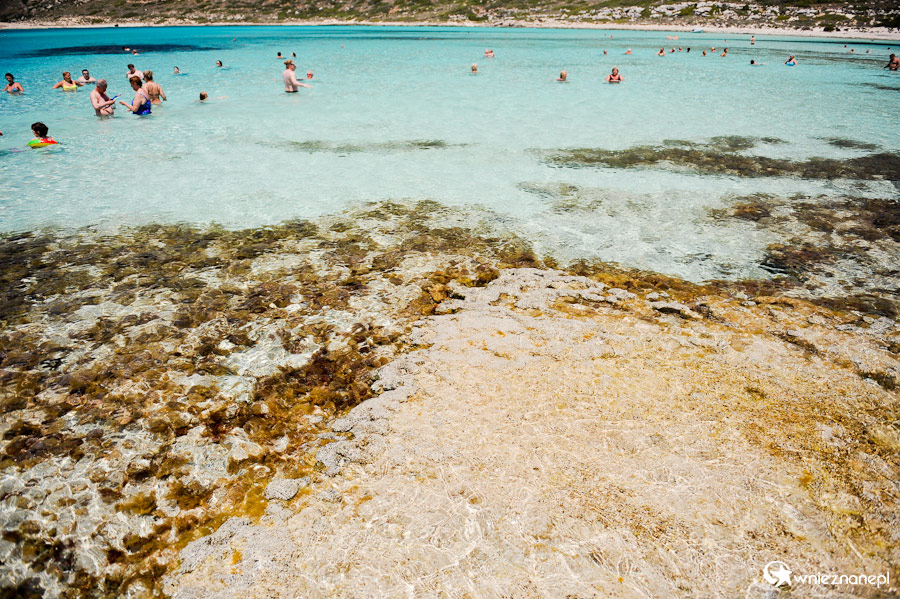 Wyspa Kreta. Piękna przejrzysta woda w lagunie Balos. - foto: wnieznane.pl Wyspa Kreta. Piękna przejrzysta woda w lagunie Balos. - foto: wnieznane.pl