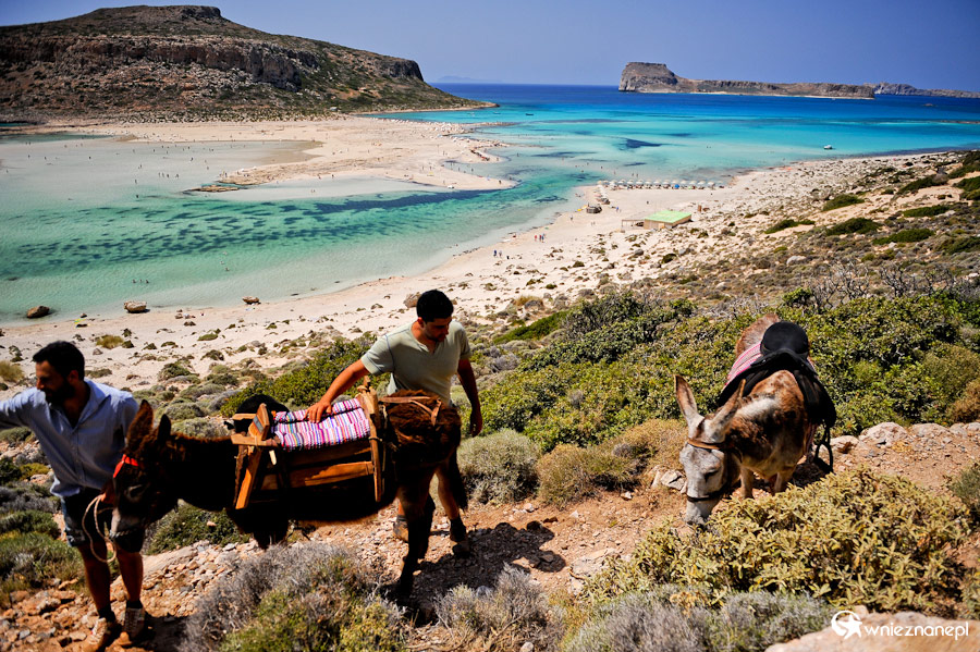 Wyspa Kreta. Osiołki-taksówki na Balos. - foto: wnieznane.pl Wyspa Kreta. Osiołki-taksówki na Balos. - foto: wnieznane.pl