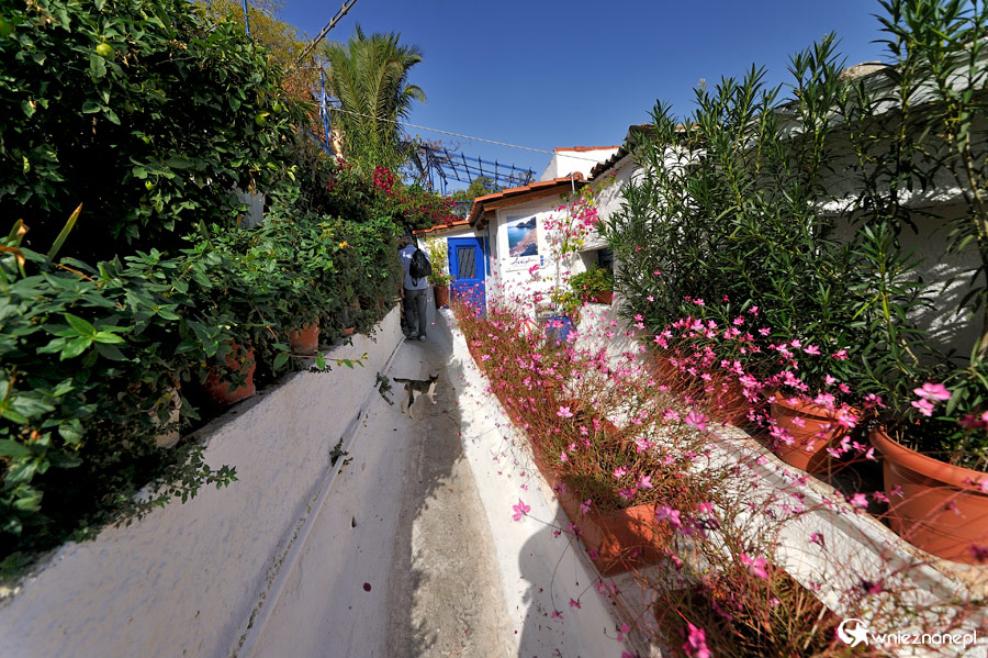 Ateny. Białe murki Anafiotiki toną w zieleni i kwiatach. - foto: wnieznane.pl Ateny. Białe murki Anafiotiki toną w zieleni i kwiatach. - foto: wnieznane.pl