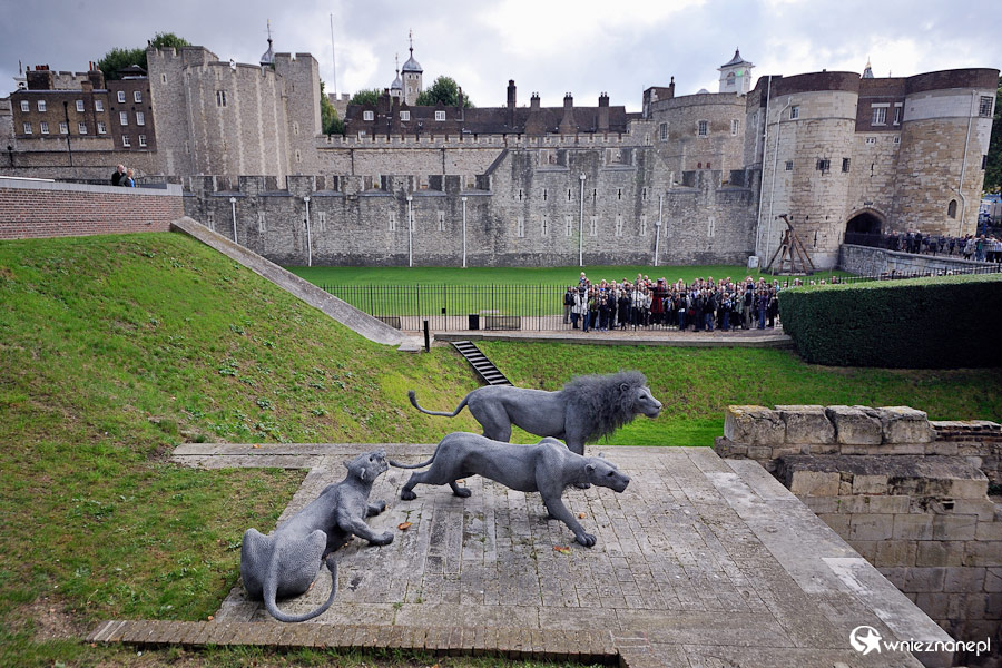 Londyn. Forteca Tower of London. - foto: wnieznane.pl Londyn. Forteca Tower of London. - foto: wnieznane.pl