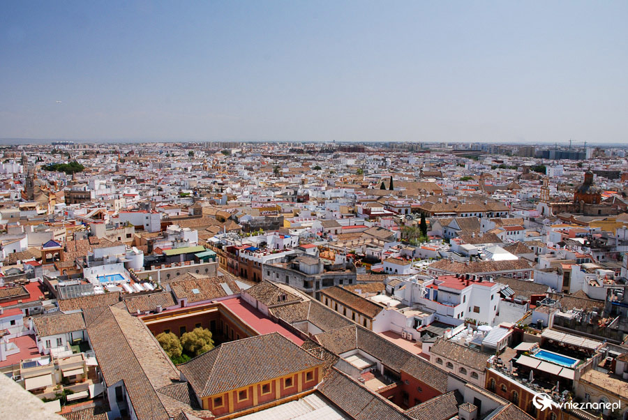 Sewilla. Miasto tonie w biało-ceglanych odcieniach budynków. - foto: wnieznane.pl Sewilla. Miasto tonie w biało-ceglanych odcieniach budynków. - foto: wnieznane.pl