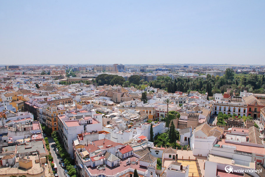 Sewilla. Sewilla to nie tylko białe budynki, ale również tętniąca zieleń. - foto: wnieznane.pl Sewilla. Sewilla to nie tylko białe budynki, ale również tętniąca zieleń. - foto: wnieznane.pl
