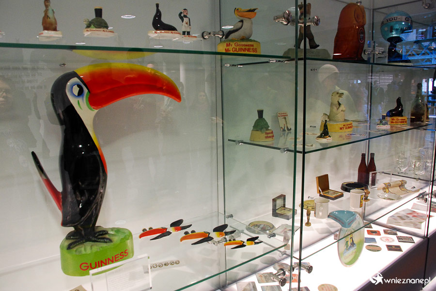 Dublin. Guinness Storehouse. Tukan, to nierozerwalny element marki Guinness. - foto: wnieznane.pl Dublin. Guinness Storehouse. Tukan, to nierozerwalny element marki Guinness. - foto: wnieznane.pl