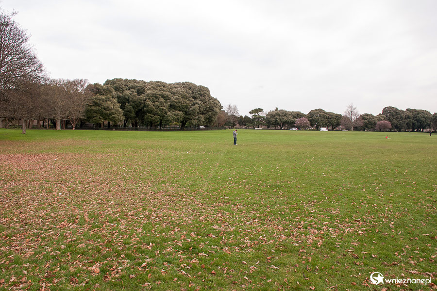 Dublin. Phoenix Park należy do największych miejskich parków w Europie. - foto: wnieznane.pl Dublin. Phoenix Park należy do największych miejskich parków w Europie. - foto: wnieznane.pl