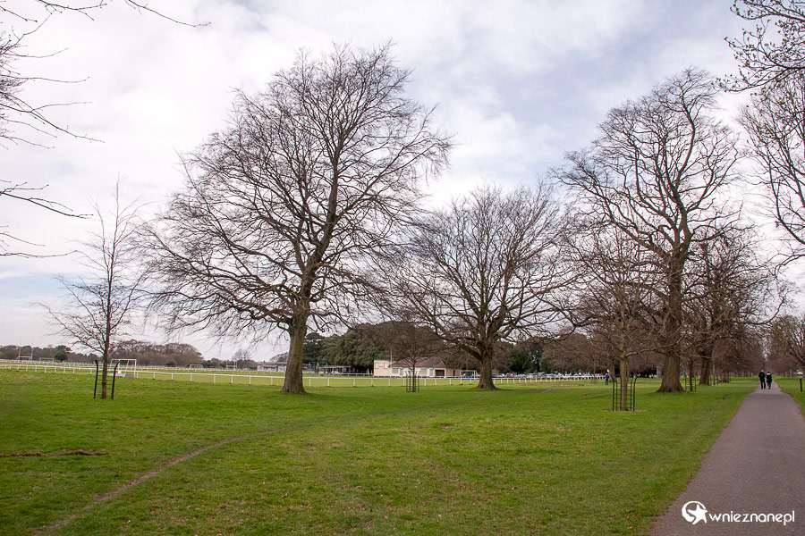 Dublin. Phoenix Park sprzyja spacerom. - foto: wnieznane.pl Dublin. Phoenix Park sprzyja spacerom. - foto: wnieznane.pl