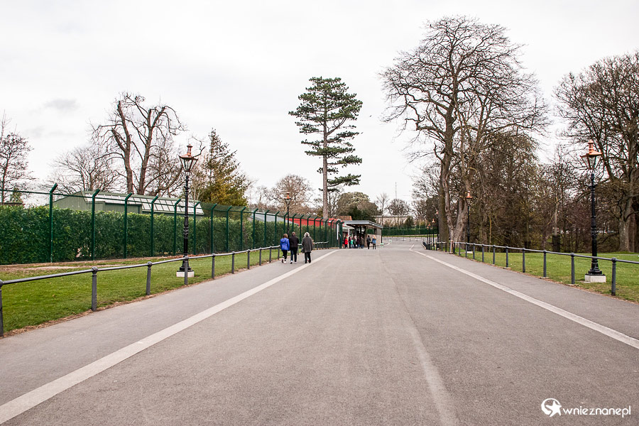 Dublin. Główna ścieżka wiodąca do ogrodu zoologicznego. - foto: wnieznane.pl Dublin. Główna ścieżka wiodąca do ogrodu zoologicznego. - foto: wnieznane.pl