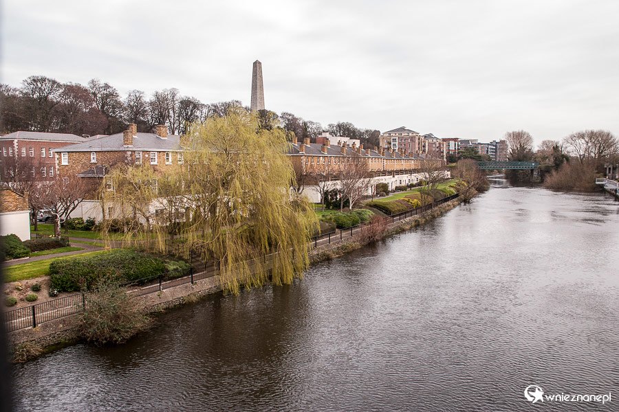 Dublin. Okolice Phoenix Park z widocznym pomnikiem Wellingtona. - foto: wnieznane.pl Dublin. Okolice Phoenix Park z widocznym pomnikiem Wellingtona. - foto: wnieznane.pl