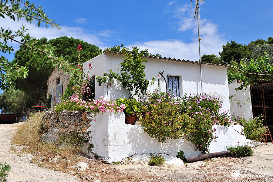Zakynthos. Mały, biały domek gdzieś w głębi wyspy. - foto: wnieznane.pl Zakynthos. Mały, biały domek gdzieś w głębi wyspy. - foto: wnieznane.pl
