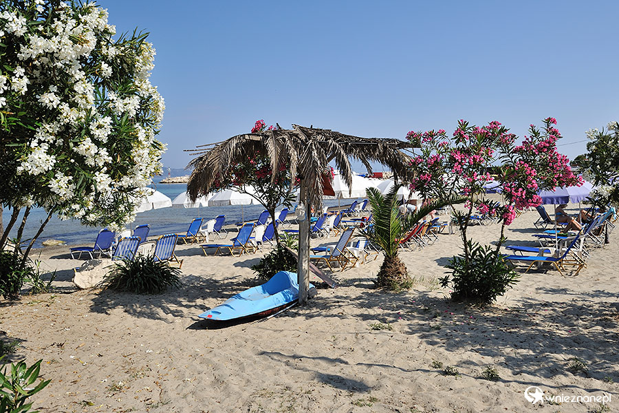 Zakynthos. Leżaki na plaży w Alikanas i Alikes. - foto: wnieznane.pl Zakynthos. Leżaki na plaży w Alikanas i Alikes. - foto: wnieznane.pl