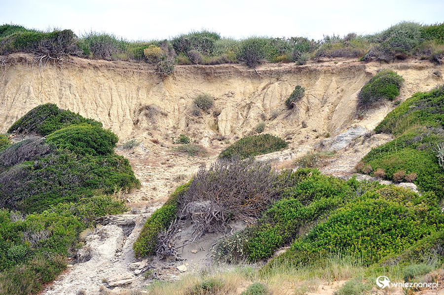 Zakynthos. Malownicze otoczenie plaży Gerakas, stanowiącej miejsce lęgowe żółwi. - foto: wnieznane.pl Zakynthos. Malownicze otoczenie plaży Gerakas, stanowiącej miejsce lęgowe żółwi. - foto: wnieznane.pl