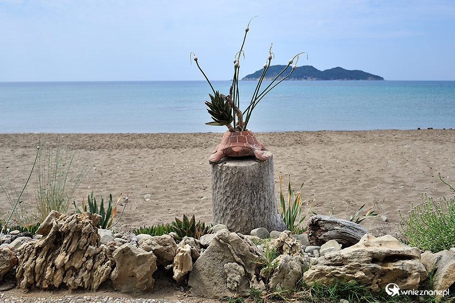 Zakynthos. Dafni Beach to jedna z plaż, na których żółwie składają jaja. Jest trudno dostępna i dzięki temu mniej skażona masową turystyką. - foto: wnieznane.pl Zakynthos. Dafni Beach to jedna z plaż, na których żółwie składają jaja. Jest trudno dostępna i dzięki temu mniej skażona masową turystyką. - foto: wnieznane.pl