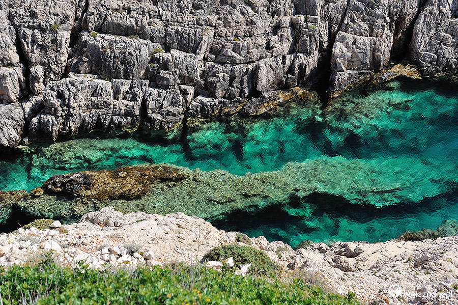 Zakynthos. Korakonisi to punkt widokowy -skała z charakterystycznym oknem, a do tego niesamowicie zielona woda. - foto: wnieznane.pl Zakynthos. Korakonisi to punkt widokowy -skała z charakterystycznym oknem, a do tego niesamowicie zielona woda. - foto: wnieznane.pl