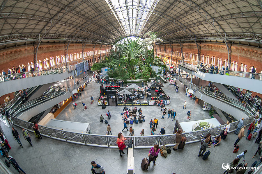Madryt. Przestronne wnętrza dworca Atocha. - foto: wnieznane.pl Madryt. Przestronne wnętrza dworca Atocha. - foto: wnieznane.pl