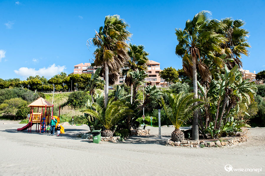 Andaluzja. Palmy na plaży w Esteponie. - foto: wnieznane.pl Andaluzja. Palmy na plaży w Esteponie. - foto: wnieznane.pl