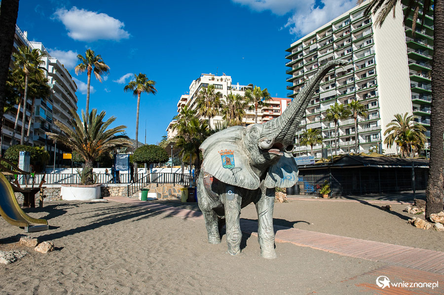 Andaluzja. Słoń-prysznic na plaży w Marbelli. - foto: wnieznane.pl Andaluzja. Słoń-prysznic na plaży w Marbelli. - foto: wnieznane.pl