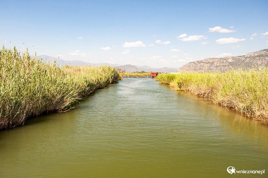 Rejs po rzece Dalyan. - foto: wnieznane.pl Rejs po rzece Dalyan. - foto: wnieznane.pl