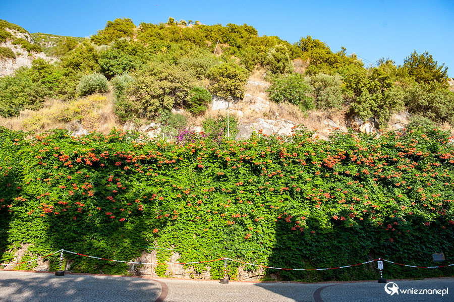 Oludeniz. Hotel Oludeniz Resort. - foto: wnieznane.pl Oludeniz. Hotel Oludeniz Resort. - foto: wnieznane.pl