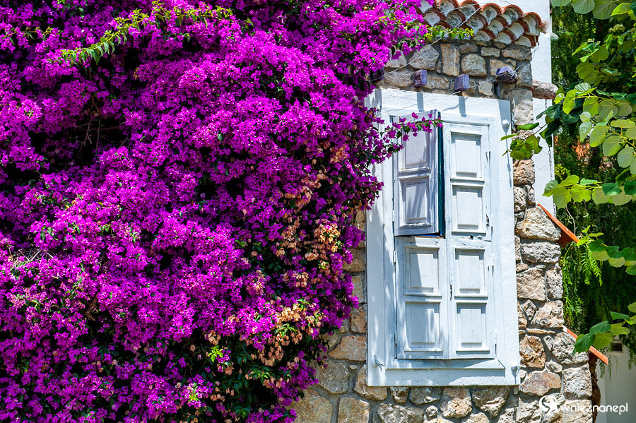 Oludeniz. Hotel Oludeniz Resort. - foto: wnieznane.pl Oludeniz. Hotel Oludeniz Resort. - foto: wnieznane.pl