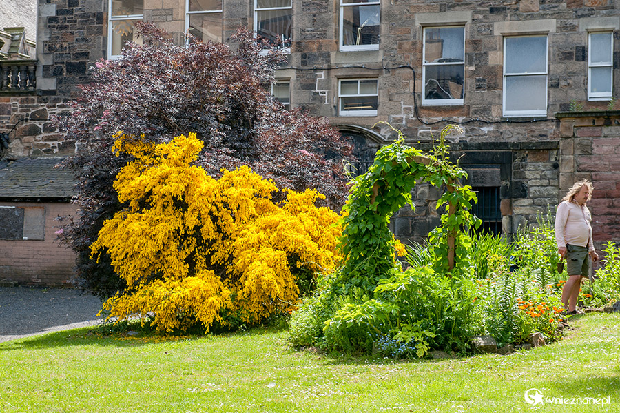 Edynburg. Cmentarz Greyfriars Kirkyard. - foto: wnieznane.pl Edynburg. Cmentarz Greyfriars Kirkyard. - foto: wnieznane.pl