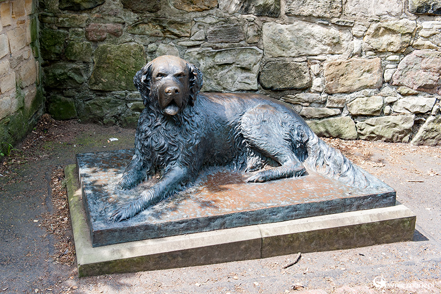 Edynburg. W ogrodach Princes Street Gardens. - foto: wnieznane.pl Edynburg. W ogrodach Princes Street Gardens. - foto: wnieznane.pl