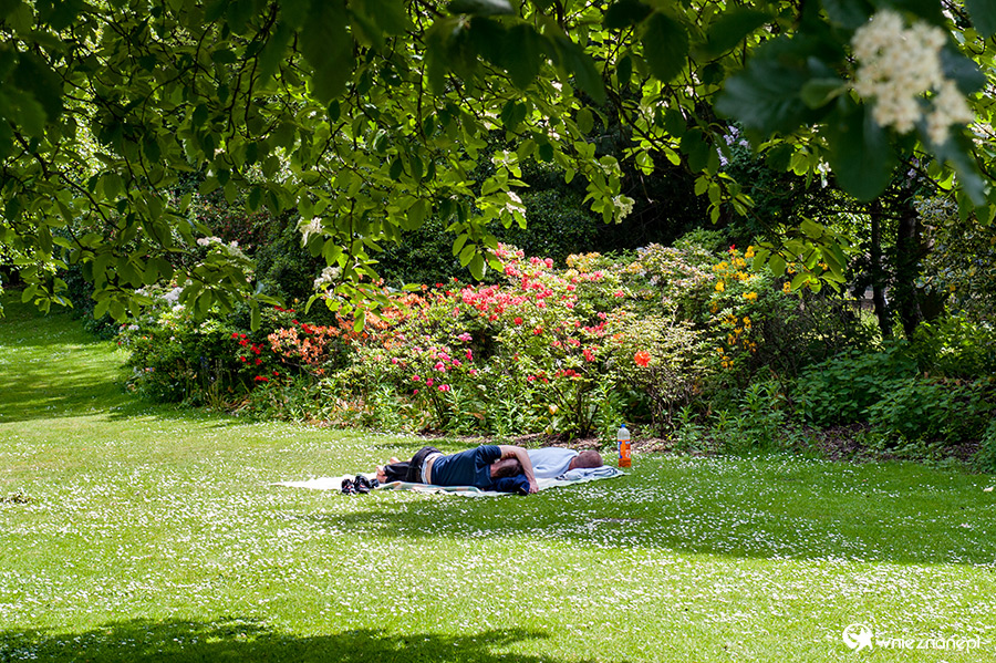 Edynburg. Relaks w ogrodach Princes Street Gardens. - foto: wnieznane.pl Edynburg. Relaks w ogrodach Princes Street Gardens. - foto: wnieznane.pl