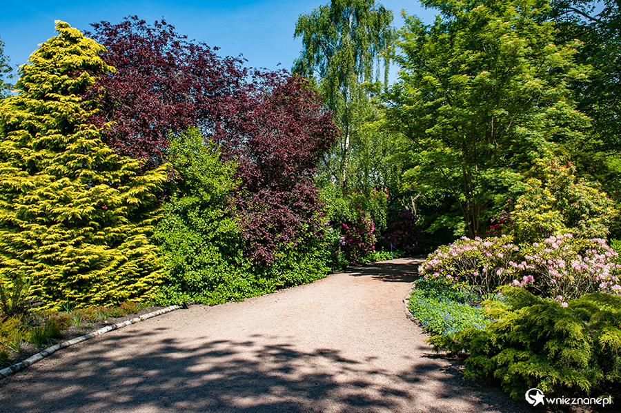 Edynburg. Na terenie Holyrood - ogrody królewskie. - foto: wnieznane.pl Edynburg. Na terenie Holyrood - ogrody królewskie. - foto: wnieznane.pl