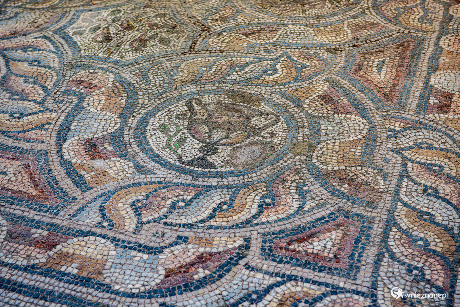 Kos. Starożytne malowidła i mozaiki można zobaczyć w stolicy wyspy. - foto: wnieznane.pl Kos. Starożytne malowidła i mozaiki można zobaczyć w stolicy wyspy. - foto: wnieznane.pl