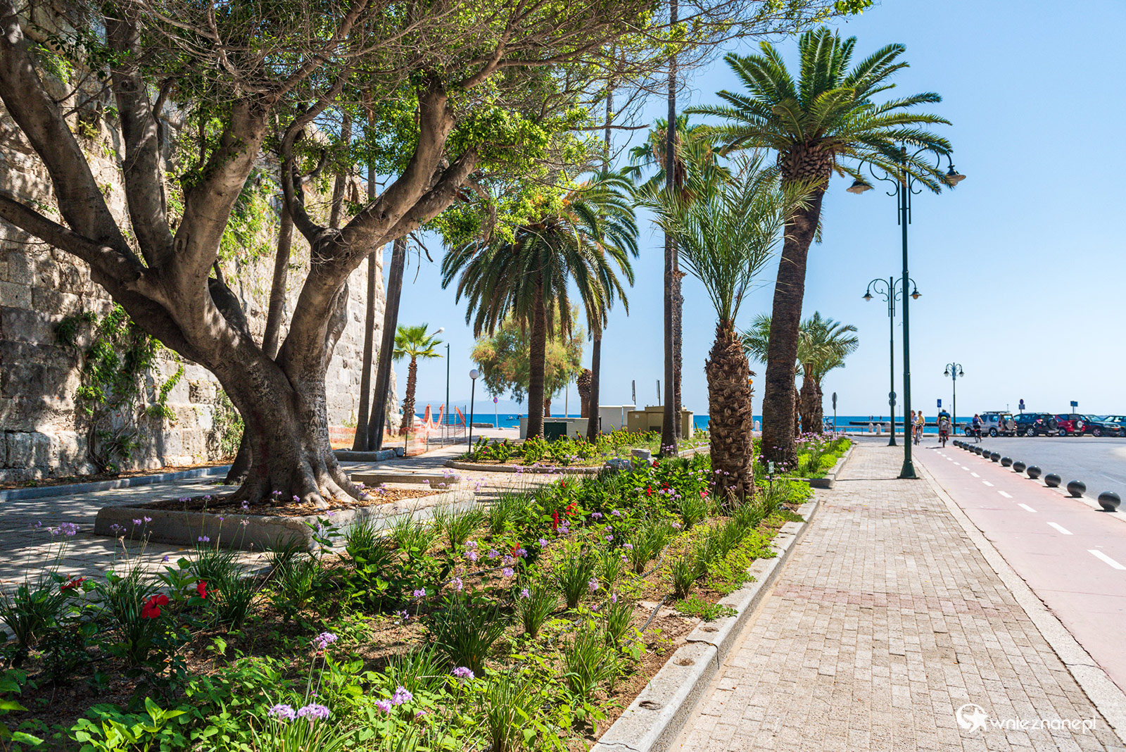 Kos. Odpoczynek przy Zamku Neratzia. - foto: wnieznane.pl Kos. Odpoczynek przy Zamku Neratzia. - foto: wnieznane.pl