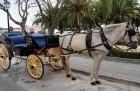 Hiszpania. Dorożka gotowa do przejażdżki po Mijas Pueblo. - foto: wnieznane.pl Hiszpania. Dorożka gotowa do przejażdżki po Mijas Pueblo. - foto: wnieznane.pl