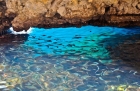 Grecka wyspa Korfu. Maleńka Blue Eye Cave, jedna z Błękitnych Grot u wybrzeża Paleokastritsy. Pod wodą widać ławicę ryb - foto: wnieznane.pl Grecka wyspa Korfu. Maleńka Blue Eye Cave, jedna z Błękitnych Grot u wybrzeża Paleokastritsy. Pod wodą widać ławicę ryb - foto: wnieznane.pl