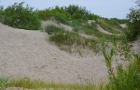 Lipawa. Wydmy przy Morzu Bałtyckim. - foto: wnieznane.pl Lipawa. Wydmy przy Morzu Bałtyckim. - foto: wnieznane.pl