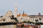 Budapeszt. Na pierwszym planie lew u wylotu Mostu Łańcuchowego, a w tle Kościół św. Macieja na Starym Mieście. - foto: wnieznane.pl Budapeszt. Na pierwszym planie lew u wylotu Mostu Łańcuchowego, a w tle Kościół św. Macieja na Starym Mieście. - foto: wnieznane.pl