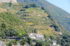 Cinque Terre. Tarasy z winnicami. - foto: wnieznane.pl Cinque Terre. Tarasy z winnicami. - foto: wnieznane.pl