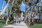 Stambuł. Wysokie drzewa pozwalają skryć się w ich cieniu w pobliżu Pałacu Topkapi. - foto: wnieznane.pl Stambuł. Wysokie drzewa pozwalają skryć się w ich cieniu w pobliżu Pałacu Topkapi. - foto: wnieznane.pl