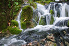 Chorwacja. Jeziora Plitwickie to nie tylko wysokie wodospady, ale również skromne i piękne kaskady. - foto: wnieznane.pl Chorwacja. Jeziora Plitwickie to nie tylko wysokie wodospady, ale również skromne i piękne kaskady. - foto: wnieznane.pl