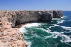 Portugalia. Algarve. Na skalistym brzegu ustyuowana jest Fortaleza de Sagres. - foto: wnieznane.pl Portugalia. Algarve. Na skalistym brzegu ustyuowana jest Fortaleza de Sagres. - foto: wnieznane.pl