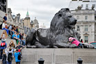 Londyn. Wielki Lew u podstawy Kolumny Nelsona na Trafalgar Square. - foto: wnieznane.pl Londyn. Wielki Lew u podstawy Kolumny Nelsona na Trafalgar Square. - foto: wnieznane.pl