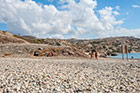 Cypr latem. Petra tou Romiou - kamienista plaża przy Skale Afrodyty. - foto: wnieznane.pl Cypr latem. Petra tou Romiou - kamienista plaża przy Skale Afrodyty. - foto: wnieznane.pl