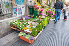 Madryt. Uliczna kwiaciarnia w dzielnicy Rastro. - foto: wnieznane.pl Madryt. Uliczna kwiaciarnia w dzielnicy Rastro. - foto: wnieznane.pl