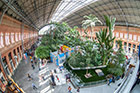 Madryt. Tropikalna roślinność we wnętrzu dworca Atocha. - foto: wnieznane.pl Madryt. Tropikalna roślinność we wnętrzu dworca Atocha. - foto: wnieznane.pl
