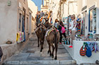 Santorini. Po uliczkach Oi można przemieszczać się na osiołkach. - foto: wnieznane.pl Santorini. Po uliczkach Oi można przemieszczać się na osiołkach. - foto: wnieznane.pl