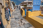 Santorini, Oia. Psy śpiące na środku uliczki albo biegające pomiędzy turystami to na wyspie normalny widok. - foto: wnieznane.pl Santorini, Oia. Psy śpiące na środku uliczki albo biegające pomiędzy turystami to na wyspie normalny widok. - foto: wnieznane.pl