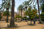 Kordoba. Drzewa pomarańczowe i palmy, w tle Alcazar de los Reyes Cristianos. - foto: wnieznane.pl Kordoba. Drzewa pomarańczowe i palmy, w tle Alcazar de los Reyes Cristianos. - foto: wnieznane.pl